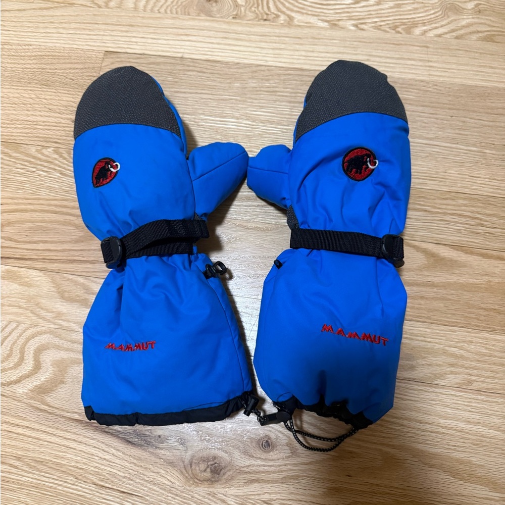 Vintage Mammut Arctic Blue and Black Nendaz Mittens
